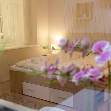 Apartman Free Parking Zichy Flat In The Center Budapest