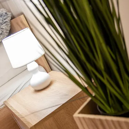 Free Parking Zichy Flat In The Center Apartman Budapest