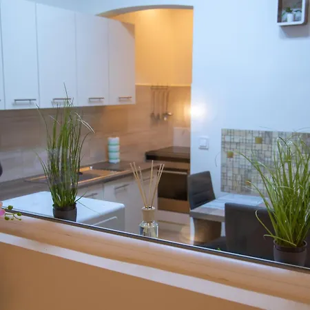 Apartment Free Parking Zichy Flat In The Center