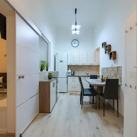 Free Parking Zichy Flat In The Center Apartment *